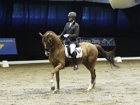 Chagall D-R 201113_1415